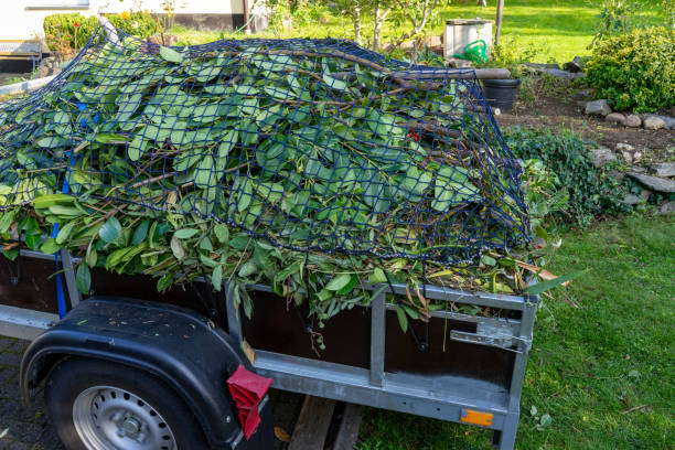 Best Scrap Metal Removal  in Strawberry Plains, TN